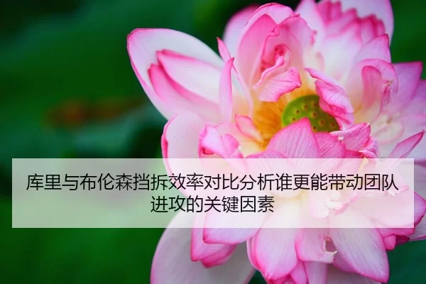 库里与布伦森挡拆效率对比分析谁更能带动团队进攻的关键因素