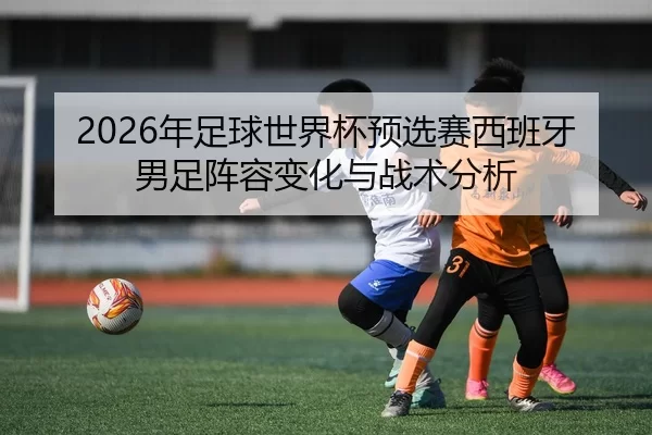 nian-zu-qiu-shi-jie-bei-yu-xuan-sai-xi-ban-ya-nan-zu-zhen-rong-bian-hua-yu-zhan-shu-fen-xi-2-113.jpg