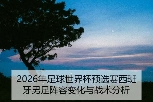 2026年足球世界杯预选赛西班牙男足阵容变化与战术分析