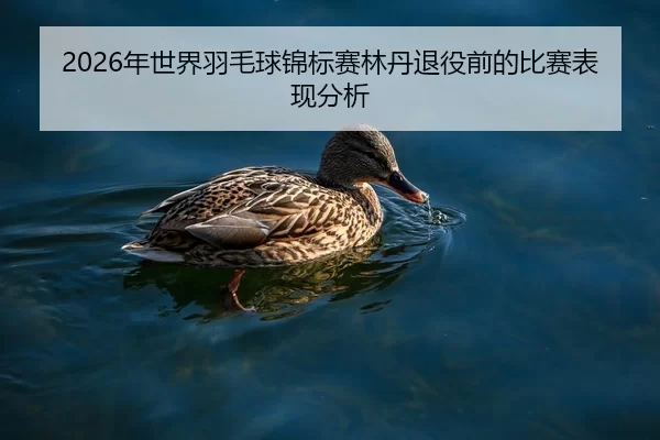 nian-shi-jie-yu-mao-qiu-jin-biao-sai-lin-dan-tui-yi-qian-de-bi-sai-biao-xian-fen-xi-2-283.jpg