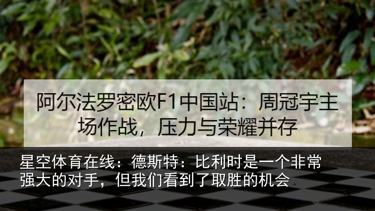 星空体育在线:德斯特:比利时是一个非常强大的对手,但我们看到了取胜的机会