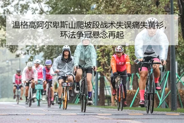 wen-ge-gao-a-er-bei-si-shan-pa-po-duan-zhan-shu-shi-wu-tong-shi-huang-shan-huan-fa-zheng-guan-xuan-nian-zai-qi-2-623.jpg