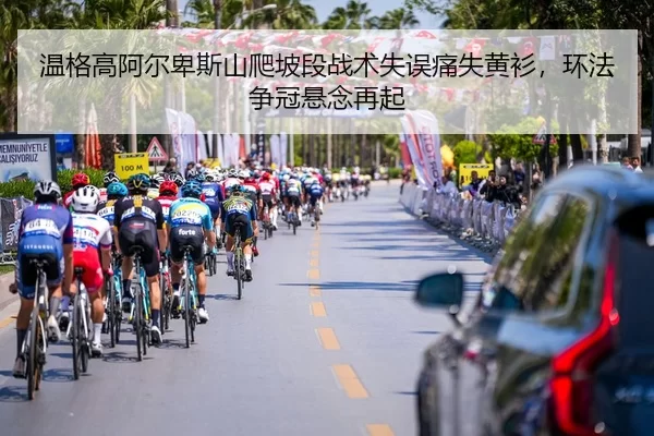 wen-ge-gao-a-er-bei-si-shan-pa-po-duan-zhan-shu-shi-wu-tong-shi-huang-shan-huan-fa-zheng-guan-xuan-nian-zai-qi-3-963.jpg
