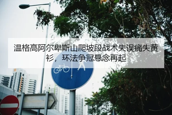 温格高阿尔卑斯山爬坡段战术失误痛失黄衫，环法争冠悬念再起