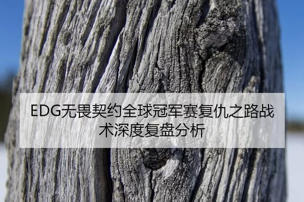 wu-wei-qi-yue-quan-qiu-guan-jun-sai-fu-chou-zhi-lu-zhan-shu-shen-du-fu-pan-fen-xi-3-868.jpg