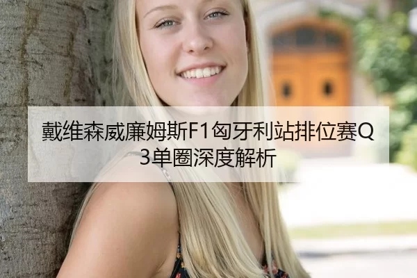 戴维森威廉姆斯F1匈牙利站排位赛Q3单圈深度解析